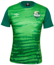 FC Platinum Warm Up Tee 21/22